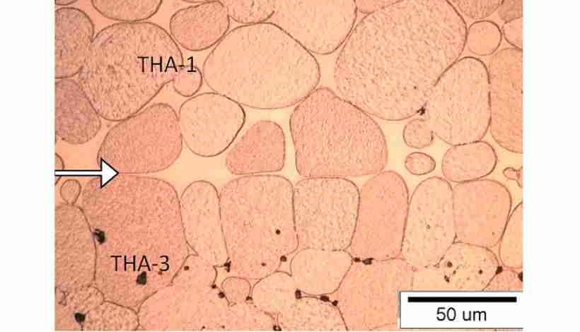 Metallographic cross-section of tungsten heavy alloy at 98% density showing rounded tungsten grai…