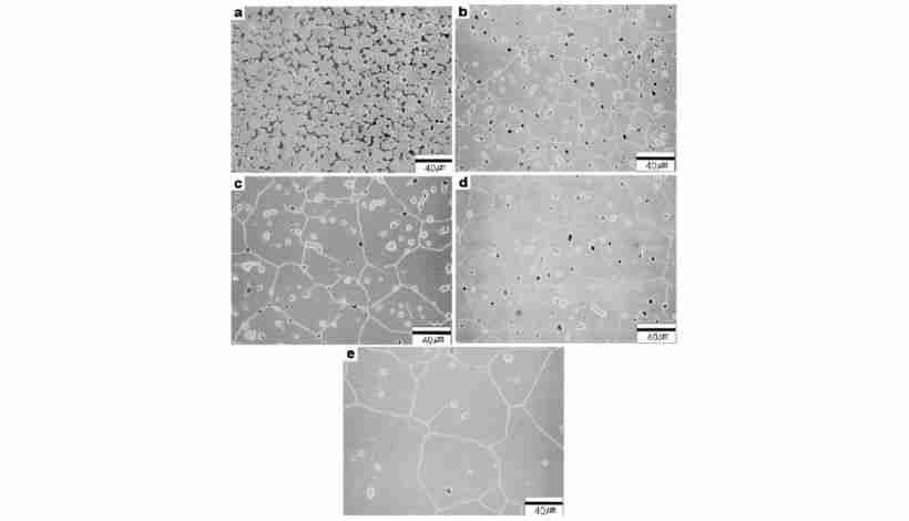 Microstructural comparison between MIM sintered tool steel and wrought tool steel showing grain s…