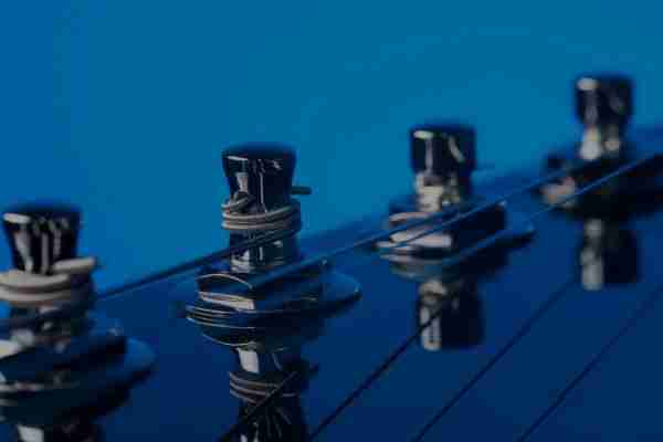Titanium MIM guitar tuners