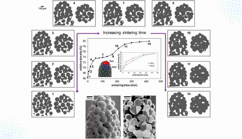 powder densification sintering temperature stages graph