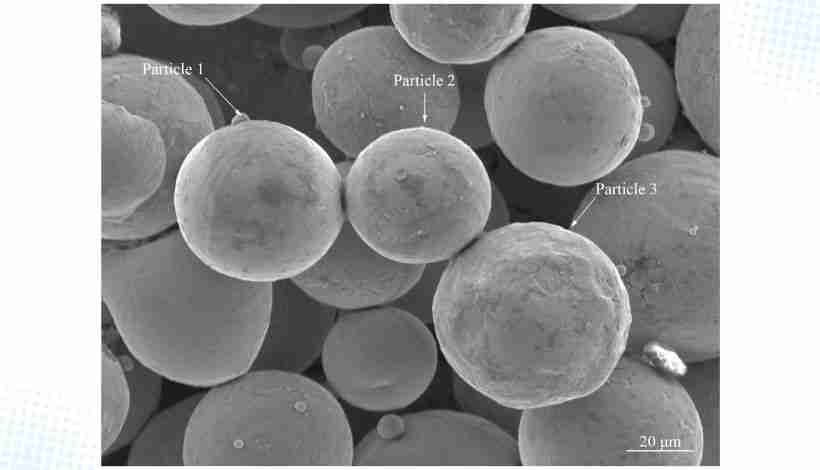SEM microscope image showing metal powder particle neck formation and bonding during high-tempera…